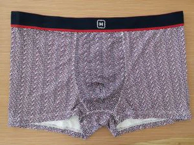 Moška modalna štampa Bokserice